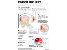 brain injury, hjerneskade, symtomer, illustrationer, illustration, illustrere, tegning, tegner, præcision, naturalistisk, naturtro, digitale, digitaltegnede illustrationer, digital, vector, vektor, illustrator, grafisk, grafik, nyhedsgrafik, infografik, bøger, magasiner, hjemmesider, marketing, marketingsmateriale, artikler, årsrapport, teknisk dokumentation, graf, grafer, piechart, 3D, perspektiv, kreativ, ideudvikling, 