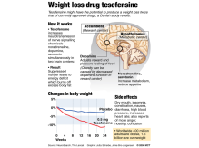 vægttab, weightloss, tesofensine, dopamin, hypothalamus, seratonin, illustrationer, illustration, illustrere, tegning, tegner, præcision, naturalistisk, naturtro, digitale, digitaltegnede illustrationer, digital, vector, vektor, illustrator, grafisk, grafik, nyhedsgrafik, infografik, bøger, magasiner, hjemmesider, marketing, marketingsmateriale, artikler, årsrapport, teknisk dokumentation, graf, grafer, piechart, 3D, perspektiv, kreativ, ideudvikling, 